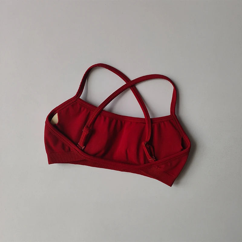 Gathering Shock-proof and Beautiful Back Seamless Sports Bras Gym