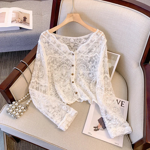 Sheer Crochet Top Long Sleeve Button Front V-Neck Open-knit Embroidery