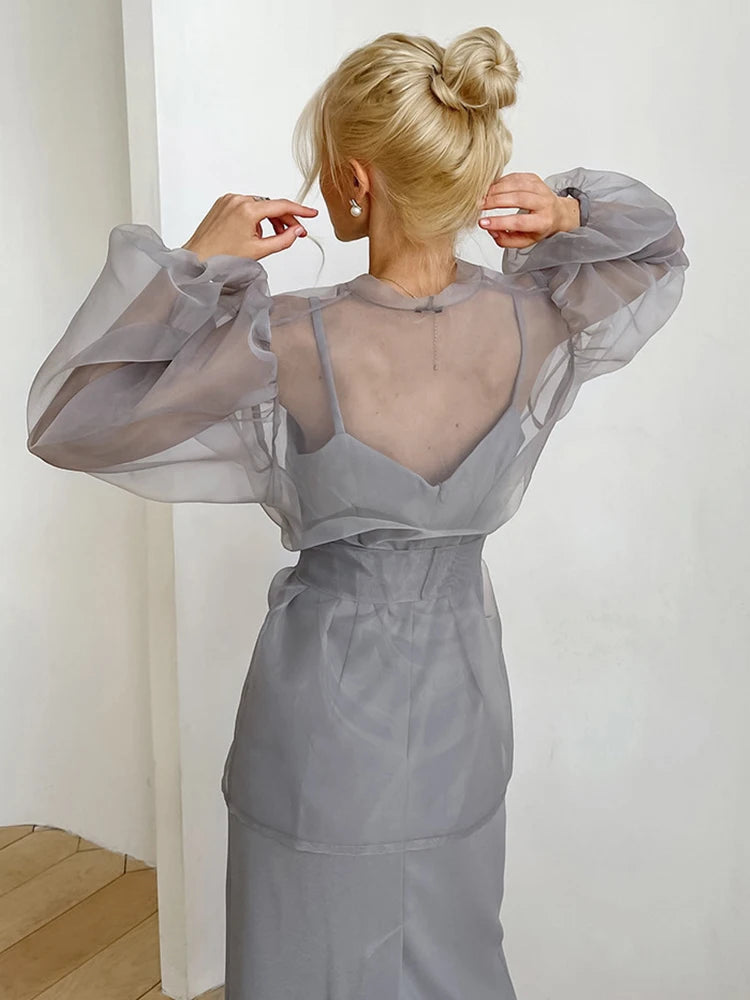 2023 Spring Summer Women Elegant Long Sleeve Solid Grey Mesh Shirt