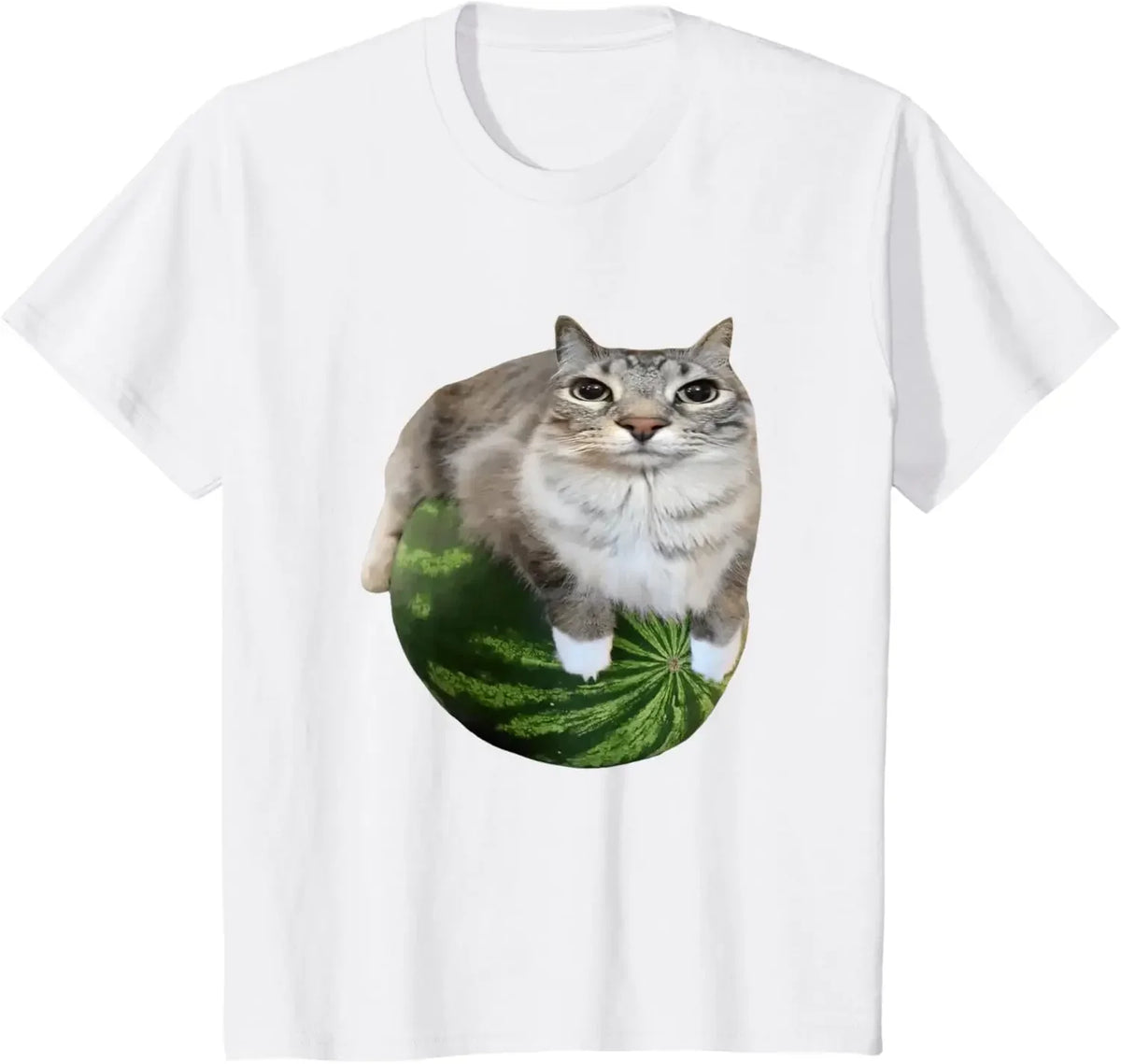 Watermelon Cat Silly Cat Meme T-Shirt A Hilarious Watermelon Print