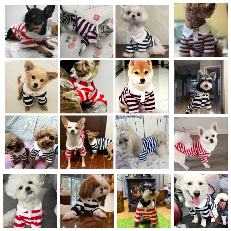 Summer Polo Shirt for Dogs Puppy Clothes Bichon Frise Chihuahua Stripe