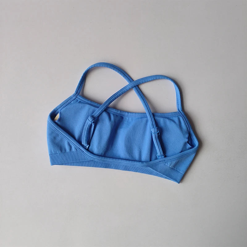 Gathering Shock-proof and Beautiful Back Seamless Sports Bras Gym